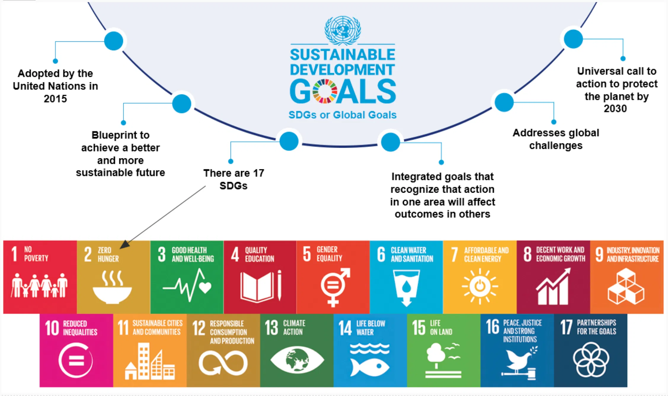 SDG Goals